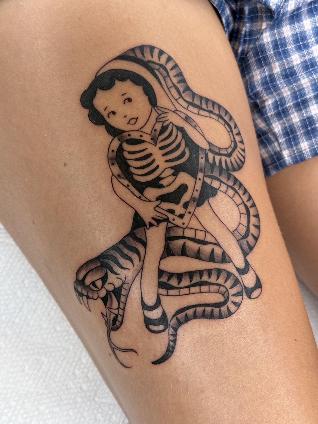 skeleton & snake ✦